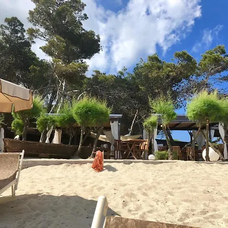 Apartment Casa Pineta Elba, A Short Walk From The Sea Marina di Campo