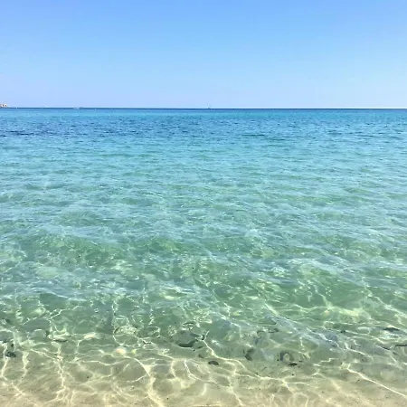 Casa Pineta Elba, A Short Walk From The Sea Apartment
