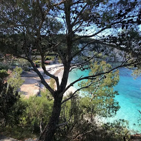 Casa Pineta Elba, A Short Walk From The Sea Apartment