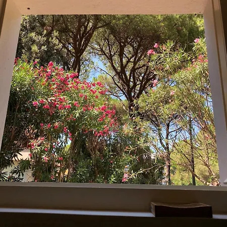 Casa Pineta Elba, A Short Walk From The Sea *