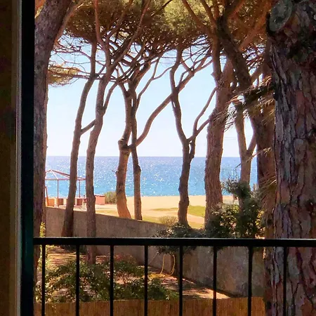Casa Pineta Elba, A Short Walk From The Sea * Marina di Campo